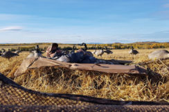 Waterfowl Hunting in Vanderhoof