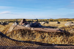 Waterfowl Hunting in Vanderhoof