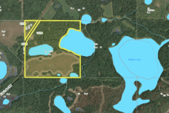 Guiding Area For Sale