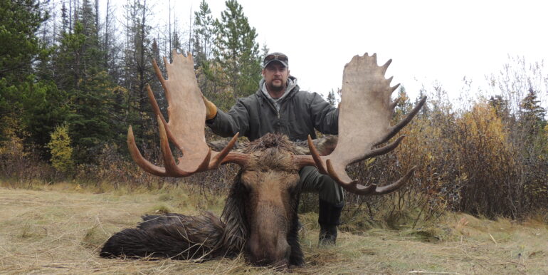 Moose 2013
